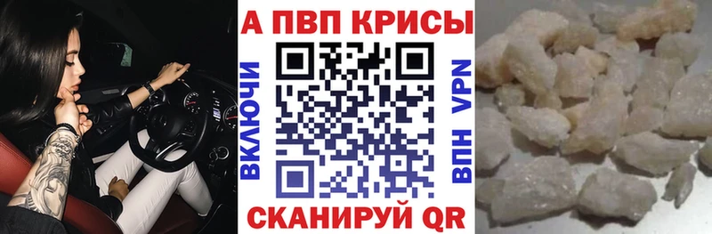 A PVP СК КРИС  Суворов 
