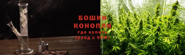 СК Аркадак