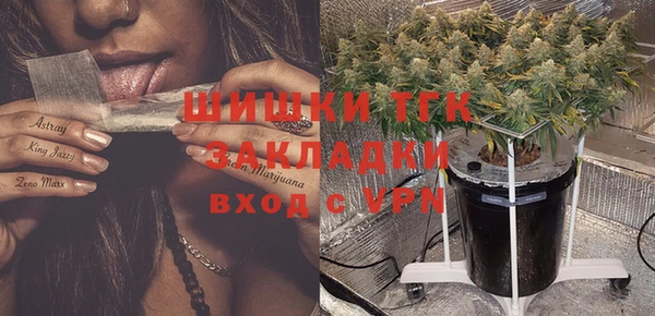 СК Аркадак