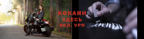 гидра Осинники
