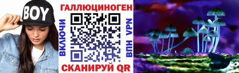 ОМГ ОМГ зеркало  Суворов  Галлюциногенные грибы мухоморы 